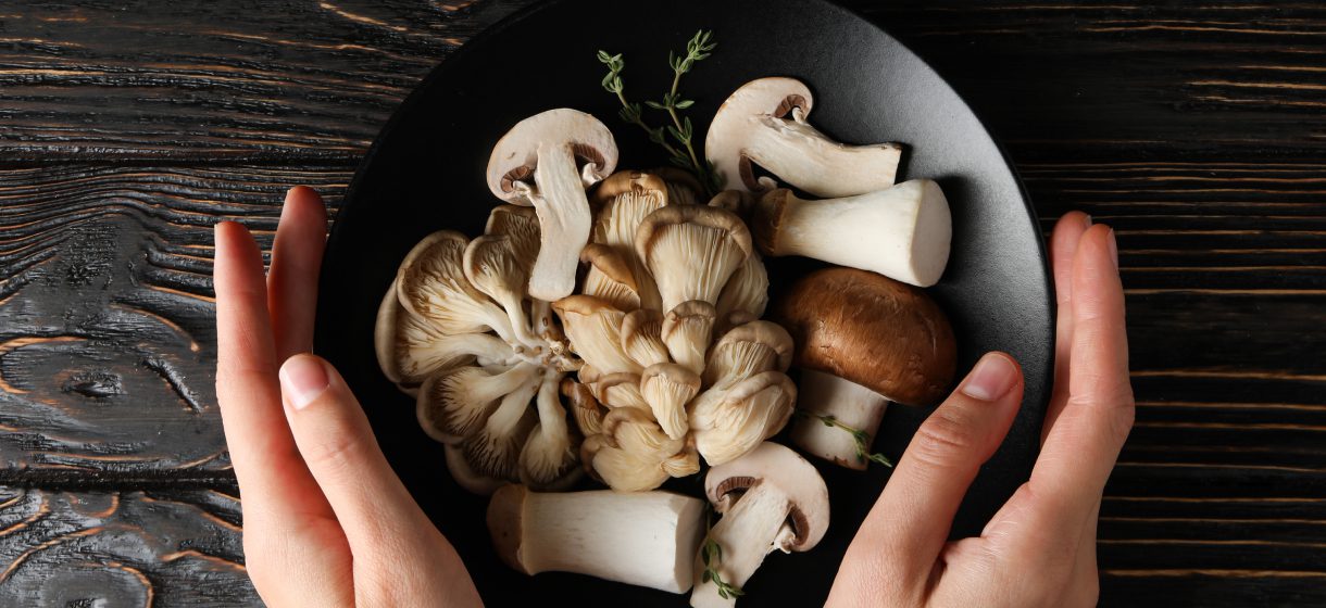 פטריות בעולם הרפואה - פוטנציאל פסילוסיבין לטיפול בדיכאון וחרדה