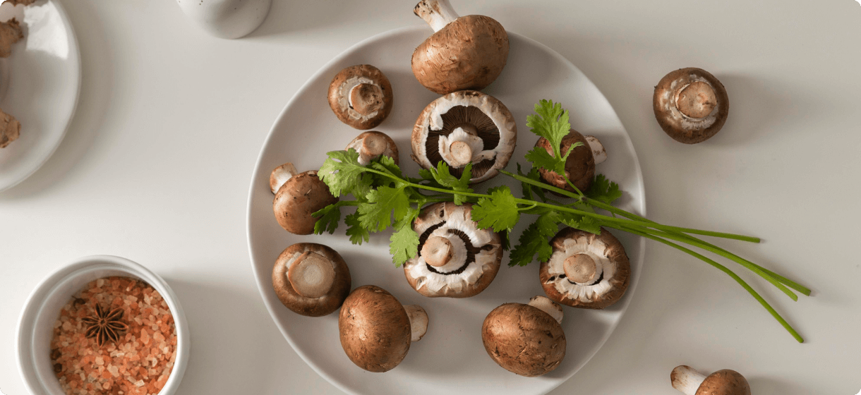 פטריות עשירות בויטמינים ומינרלים - דלות בקלוריות ובריאות