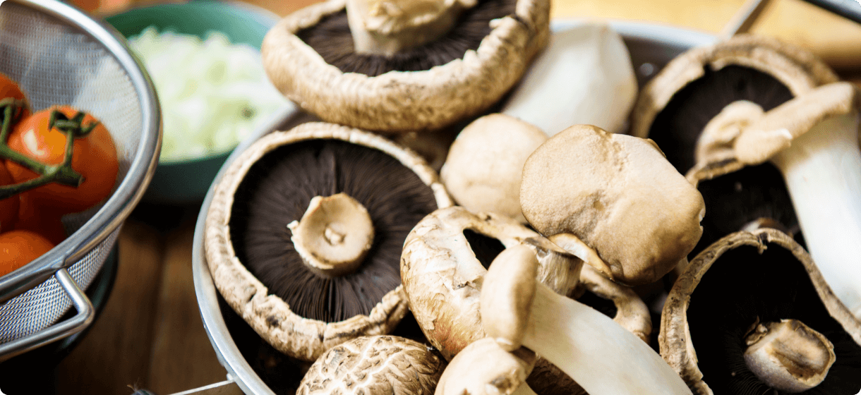 פטריות כתחליף מזין ואקולוגי לבשר