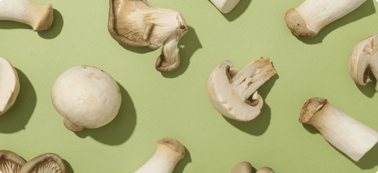ביטחון תזונתי וקיימות - הפתרון של פטריות מאכל לעתיד המזון