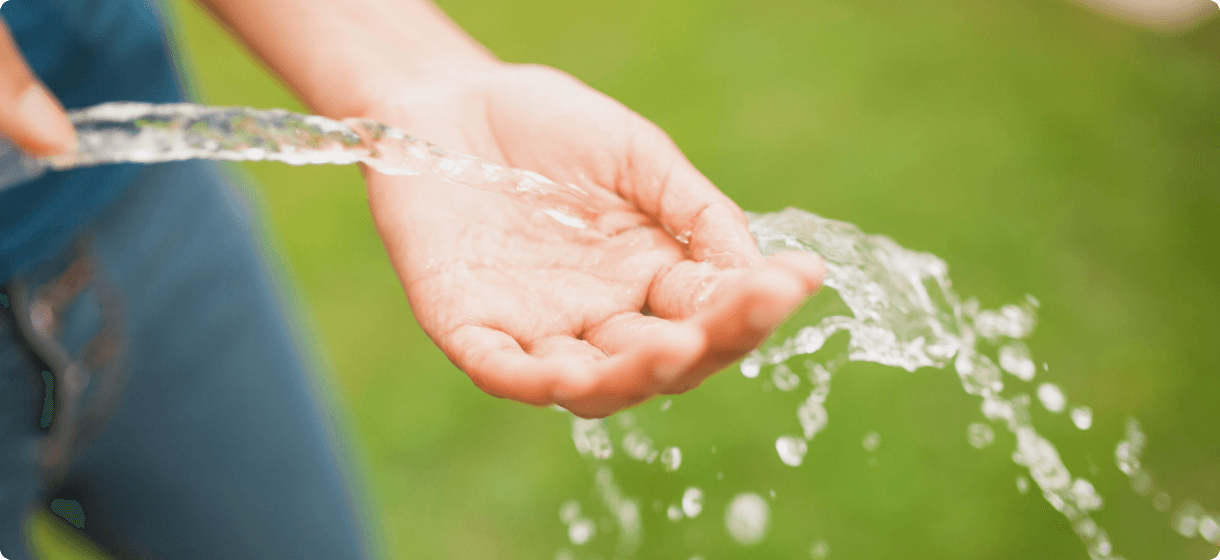 התרומה של פטריות למשבר האקלים - חיסכון במים ואנרגיה