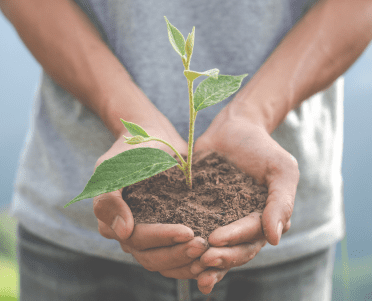 תזונה וקיימות