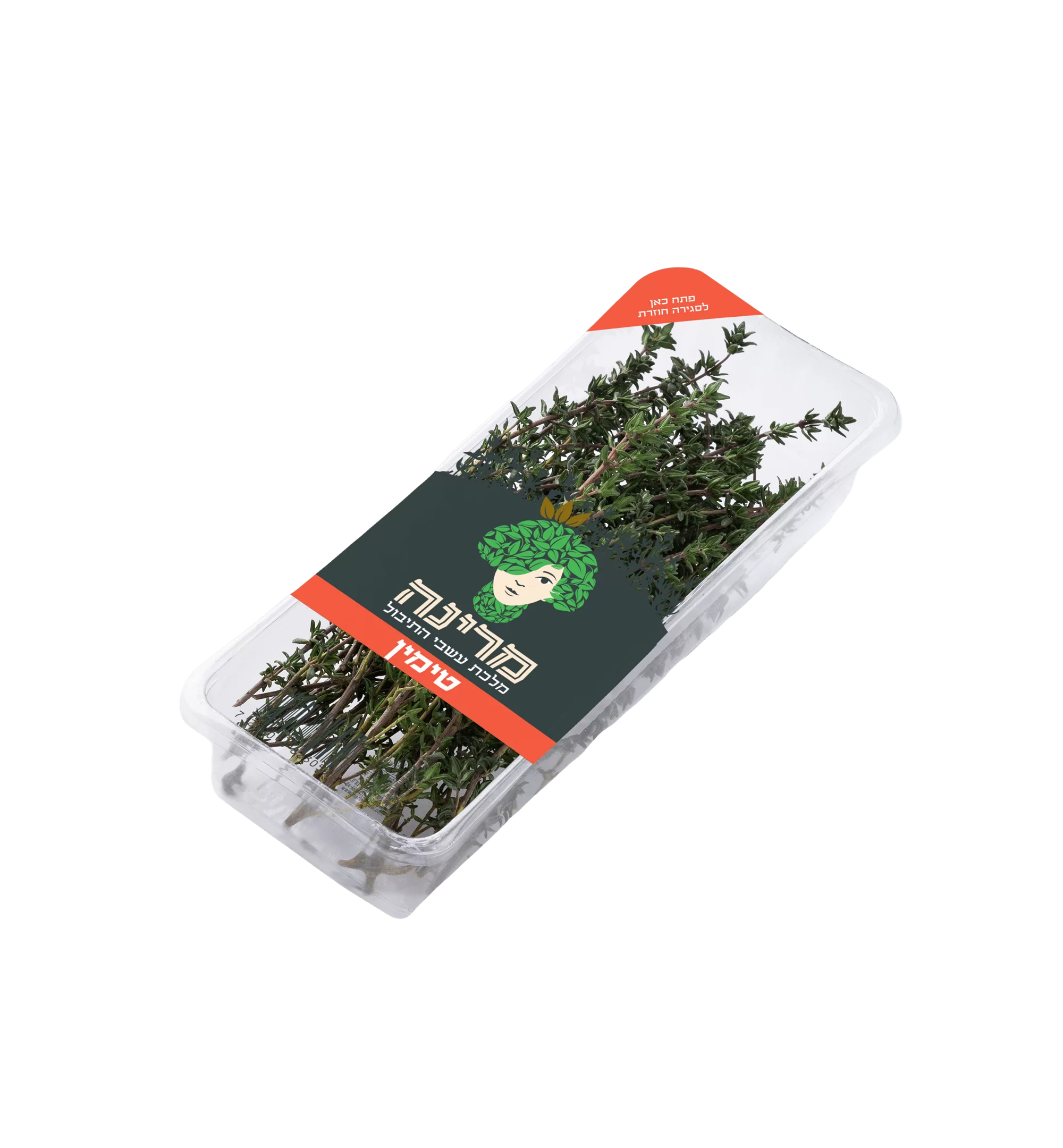 טימין- קורנית