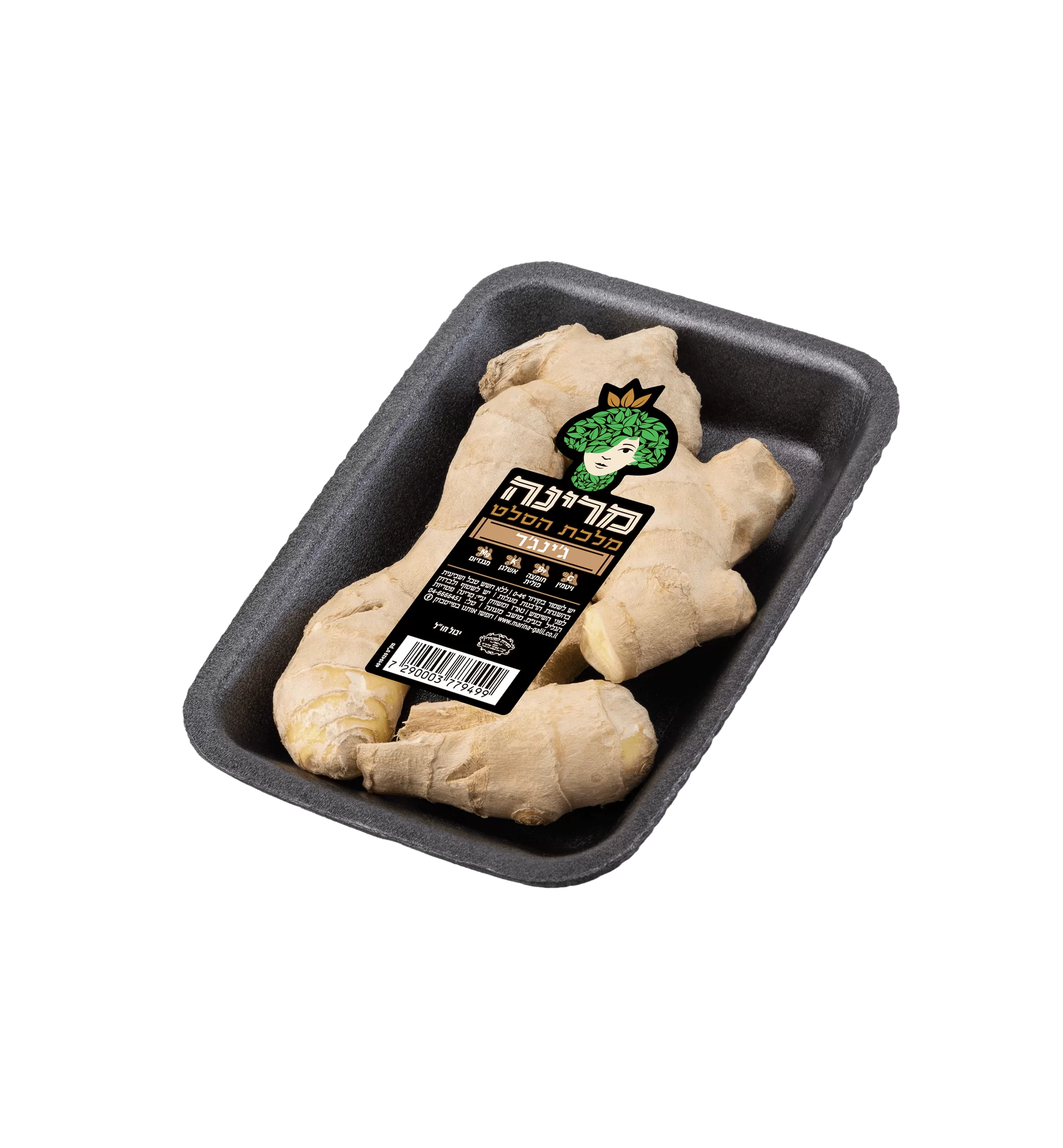 שורש ג'ינג'ר טרי-זנגביל של מרינה 