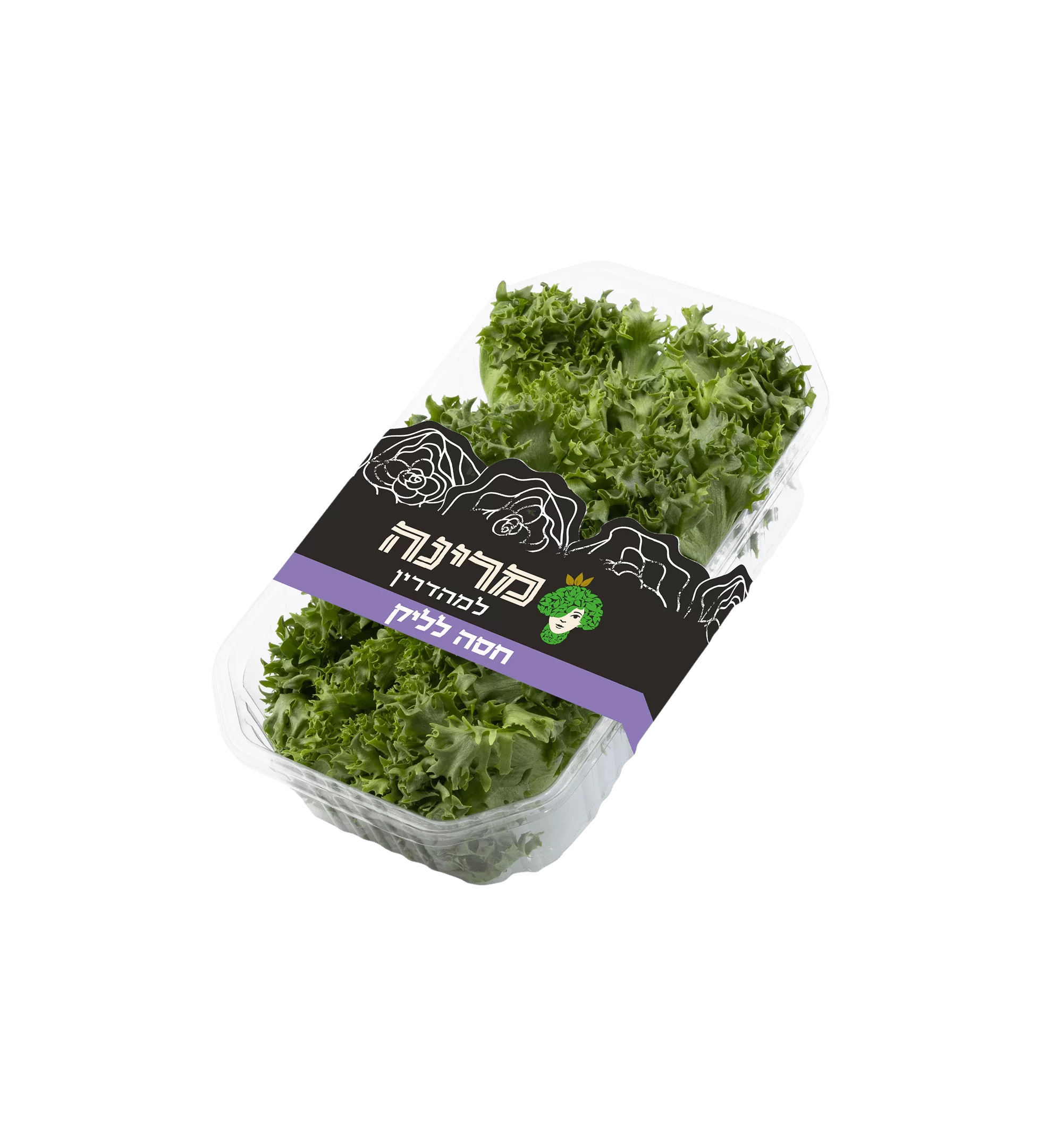 חסה לאליק של מרינה