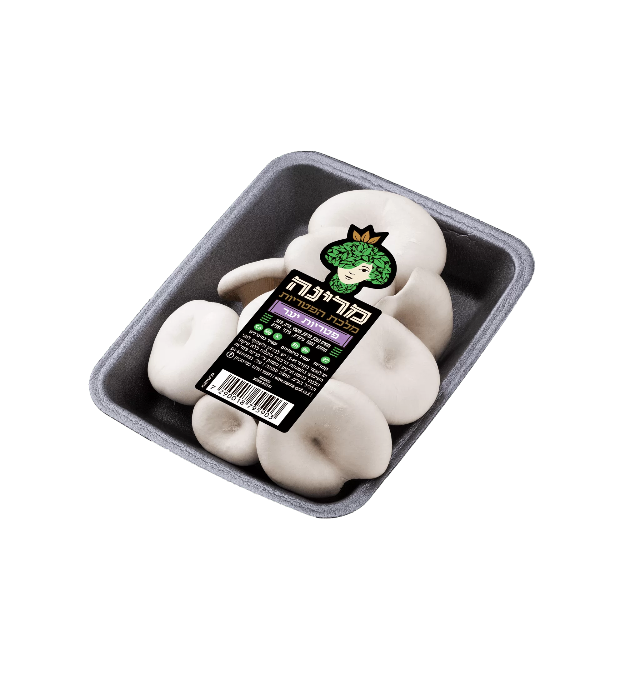 פטריות יער - פטריות צדף אוייסטר של מרינה 