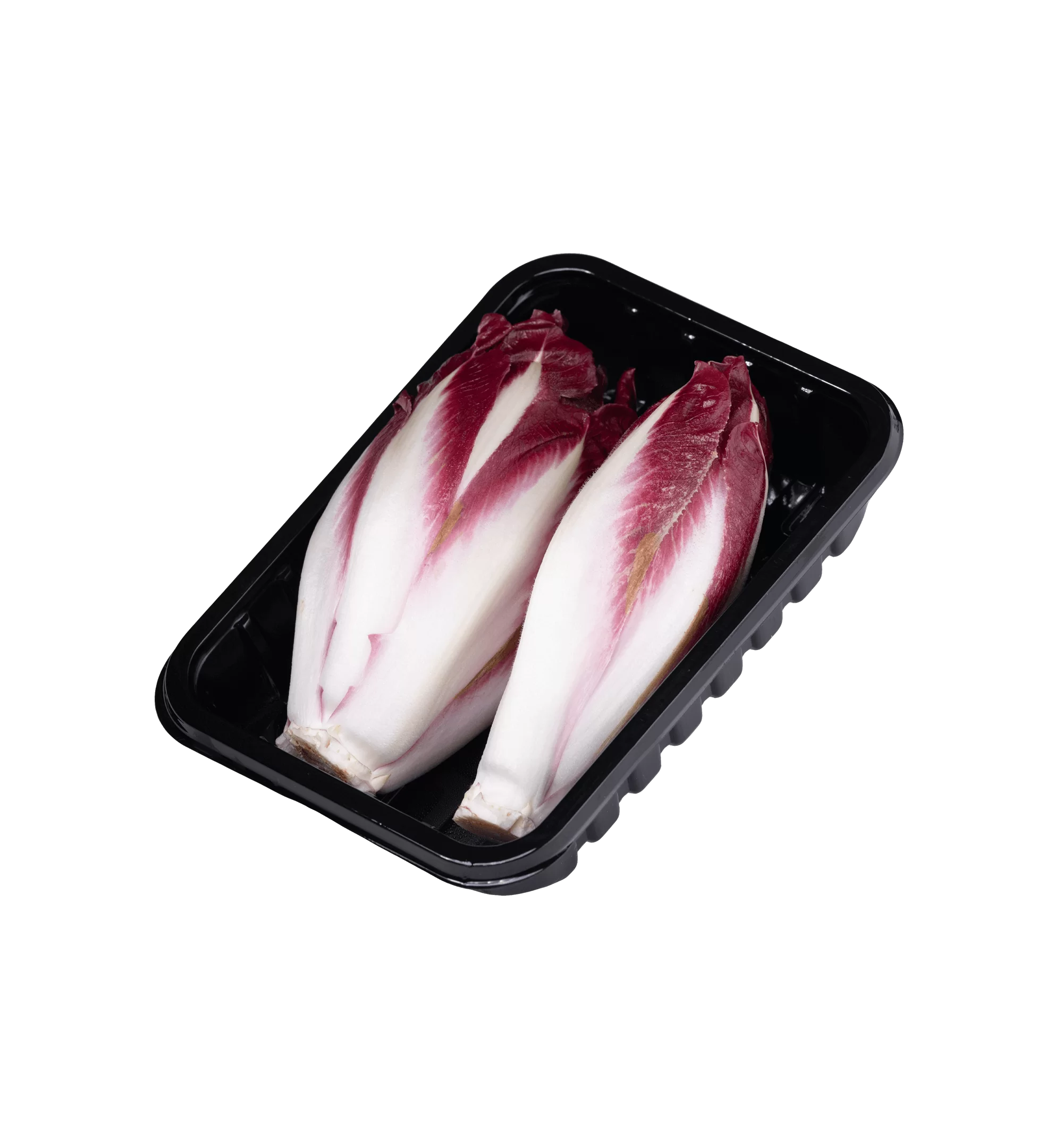 אנדיב בלגי של מרינה 