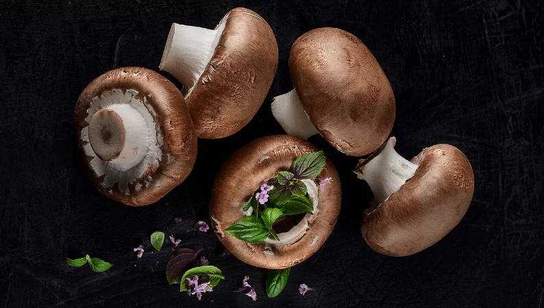 פטריות פורטבלו