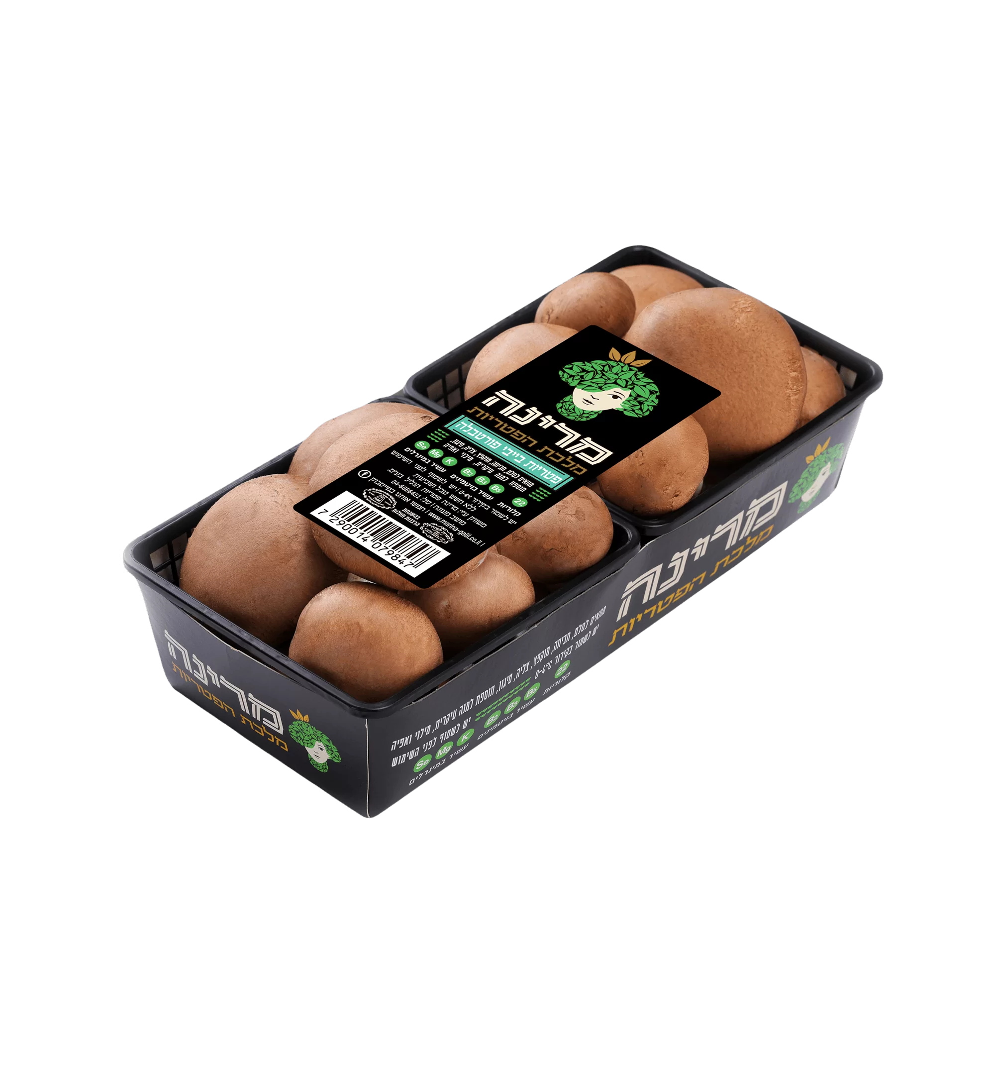 פטריות פורטבלו