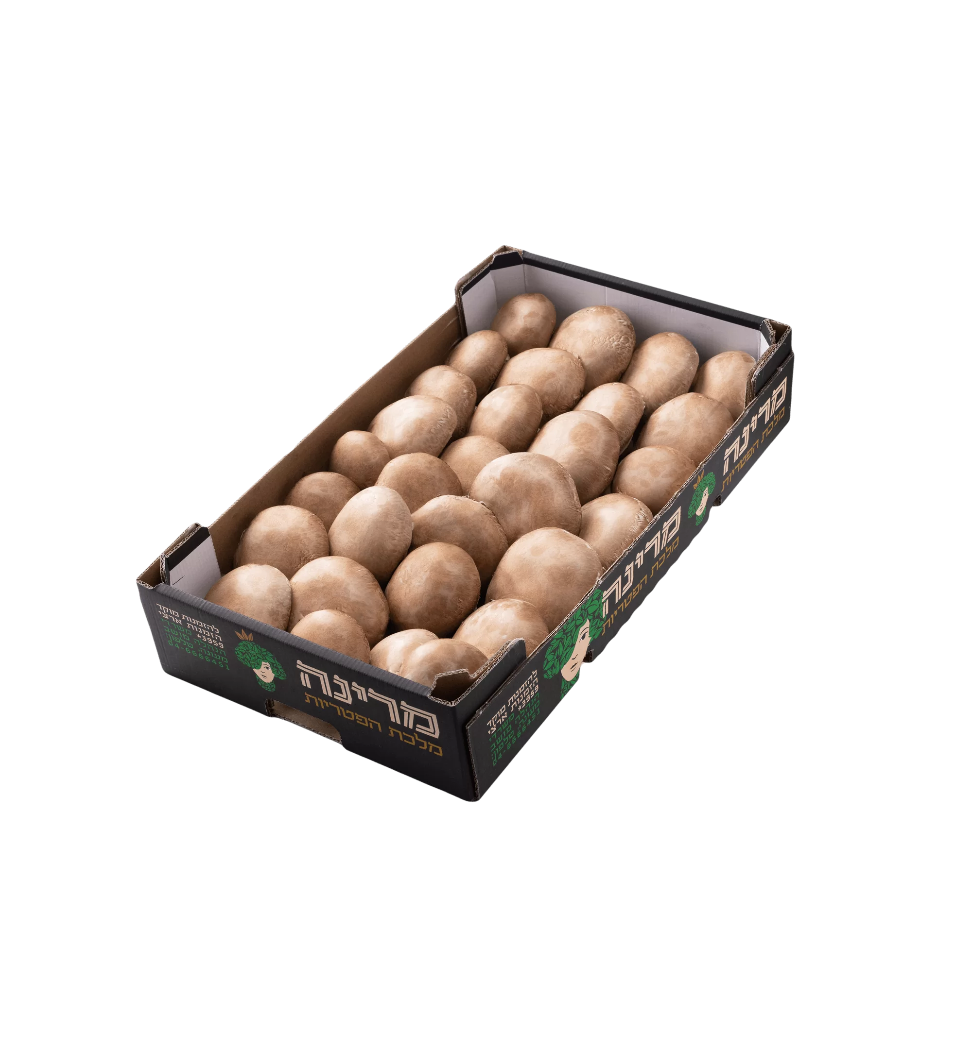 פטריות פורטבלה של מרינה גליל 