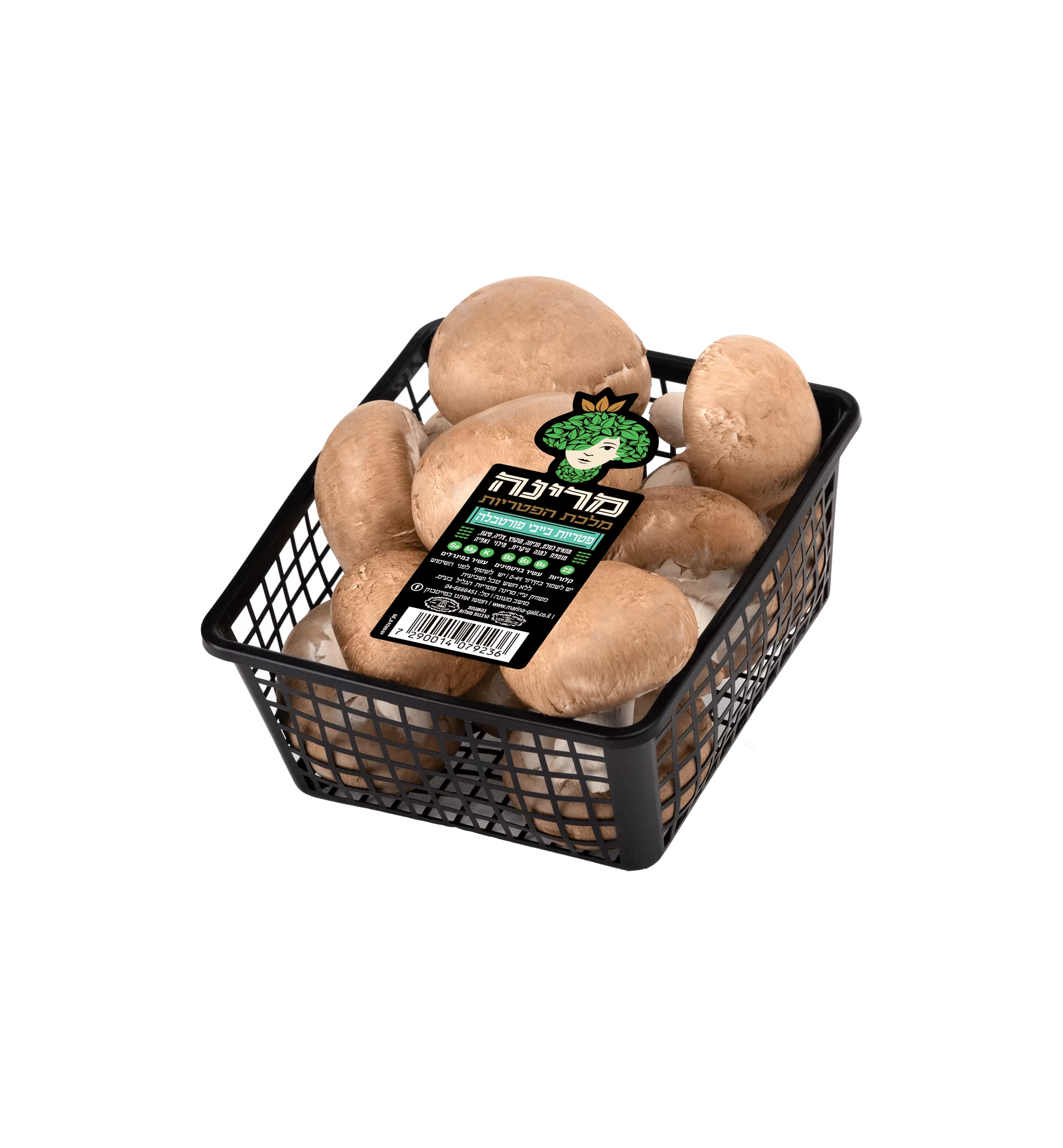 פטריות פורטבלה של מרינה גליל 