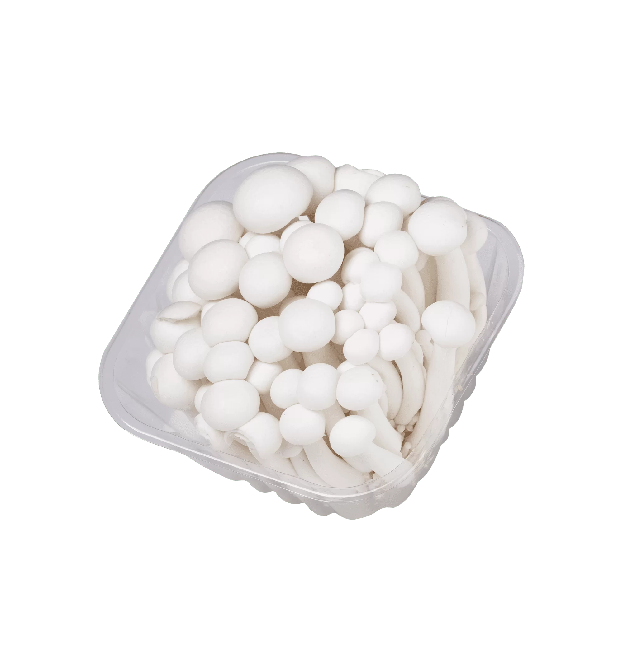 פטריות שימג'י לבנות