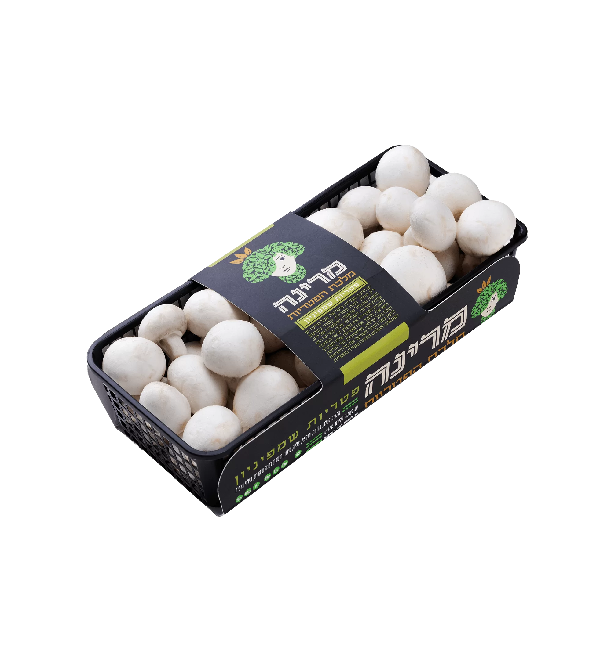 פטריות שמפיניון מרינה