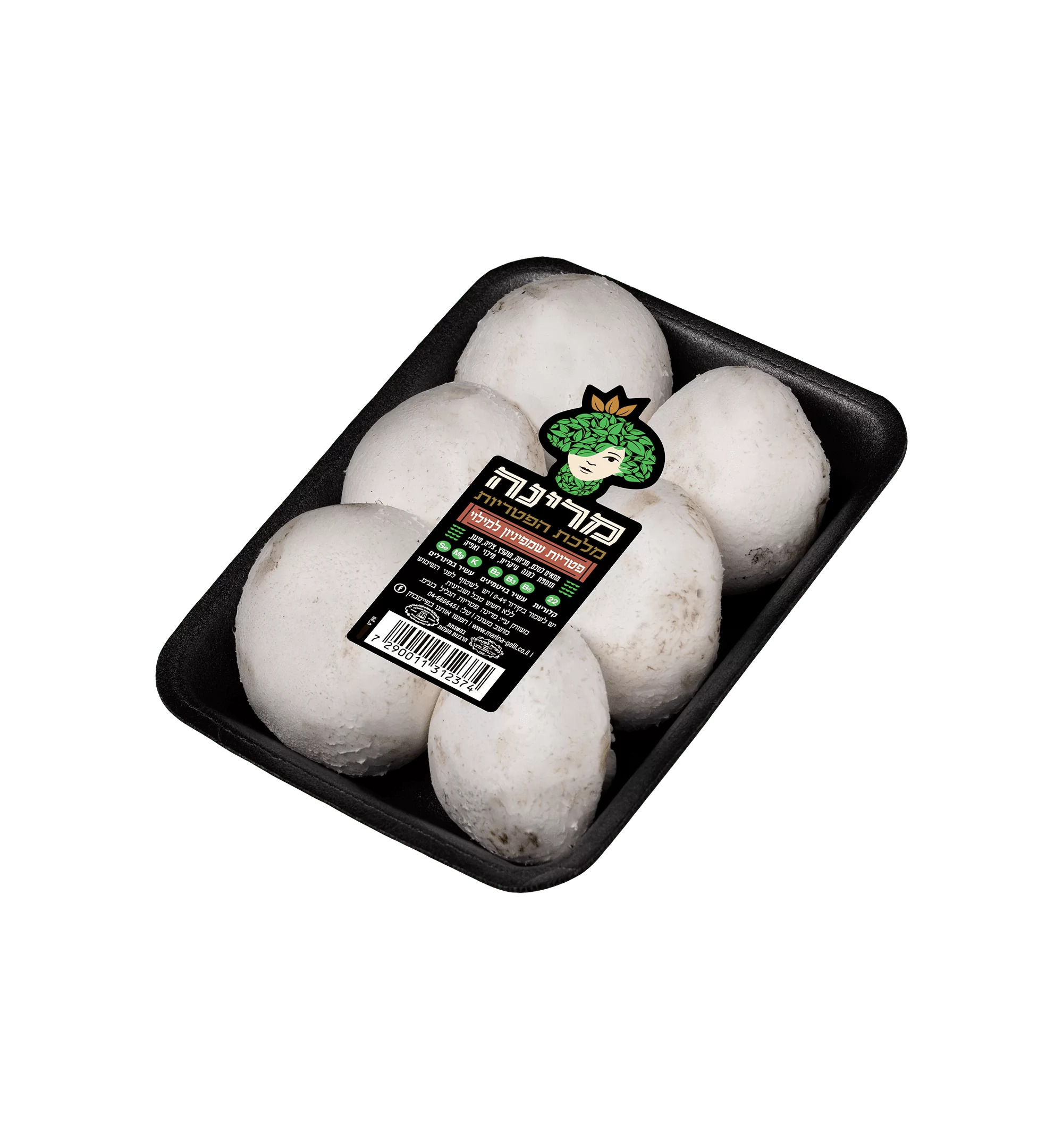 פטריות שמפיניון מרינה