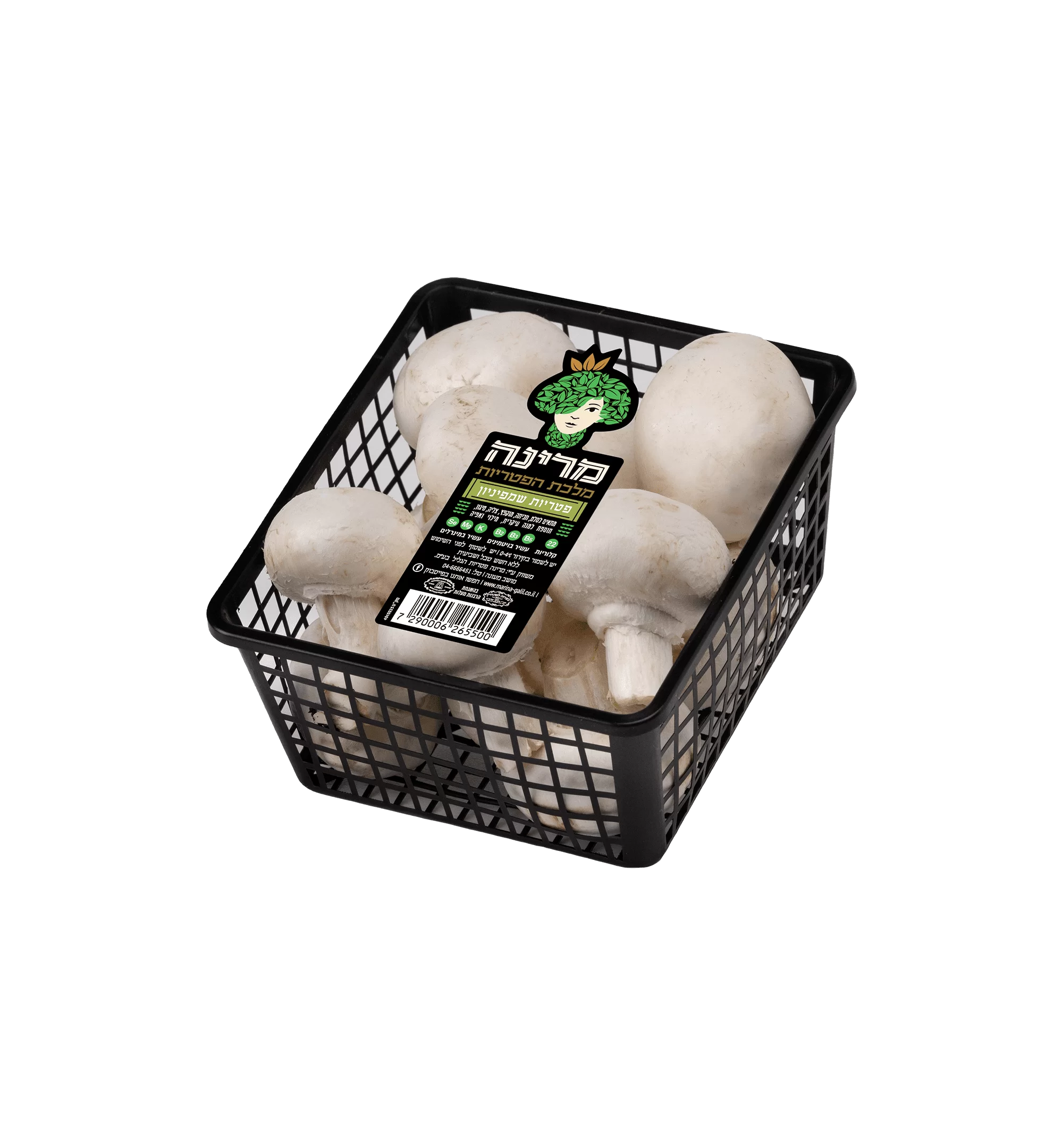 פטריות שמפיניון מרינה