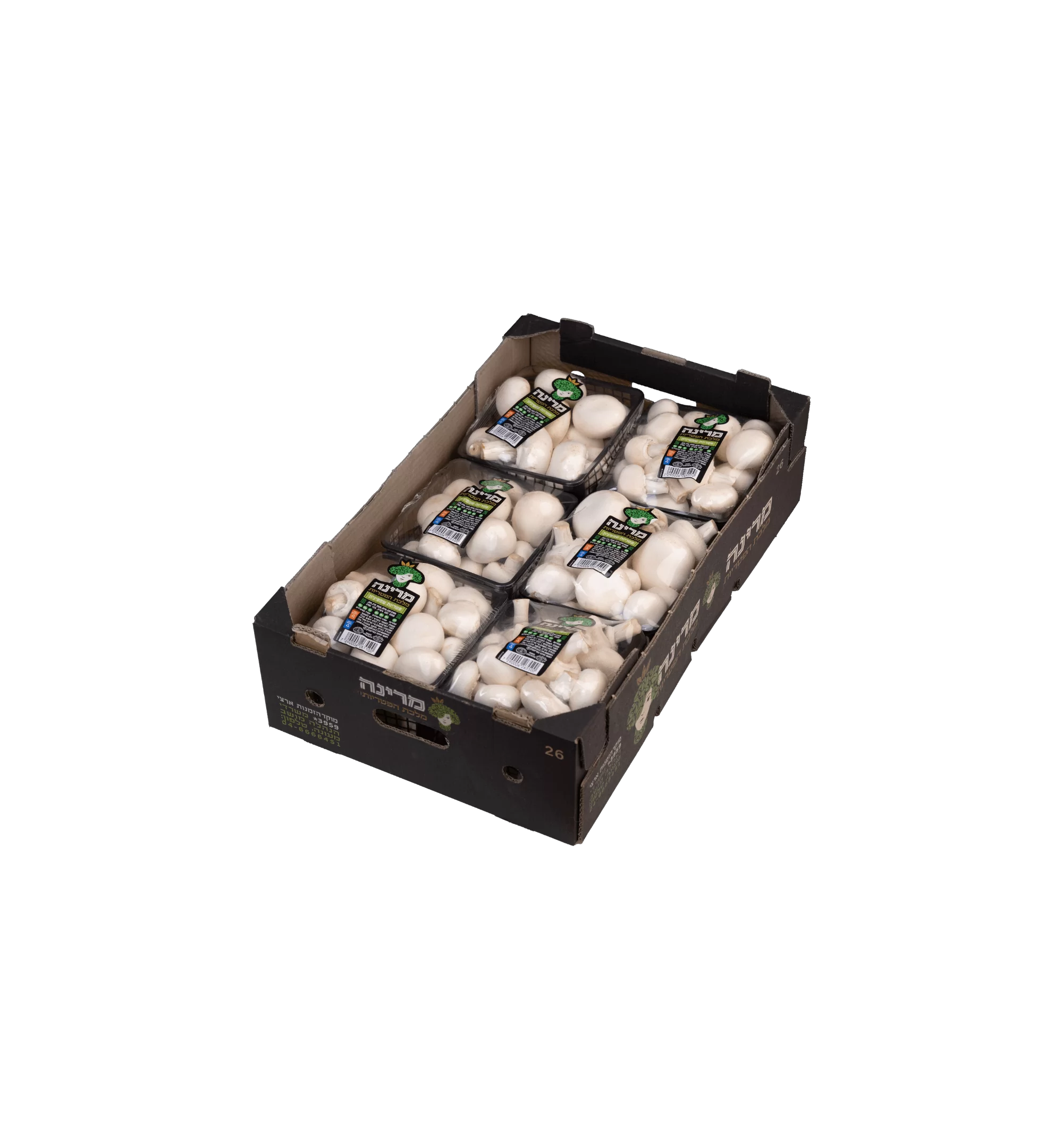 פטריות שמפיניון מרינה