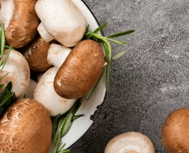 פטריות וביטחון תזונתי